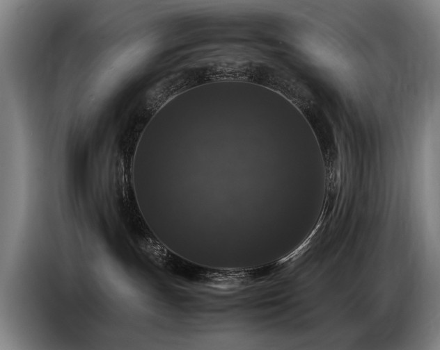 X0000087320191200704201117