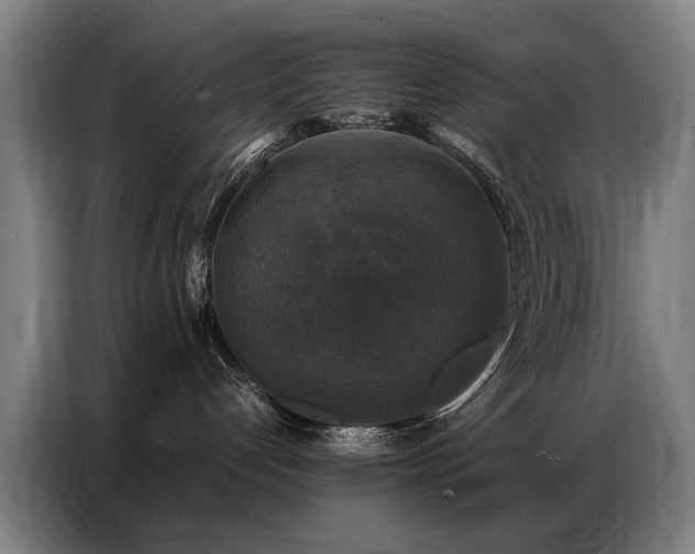 X0000087320192200704201117