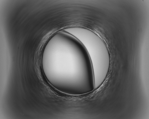 X0000087320193200704201116