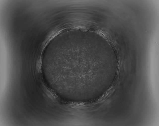 X0000087320194200704201116