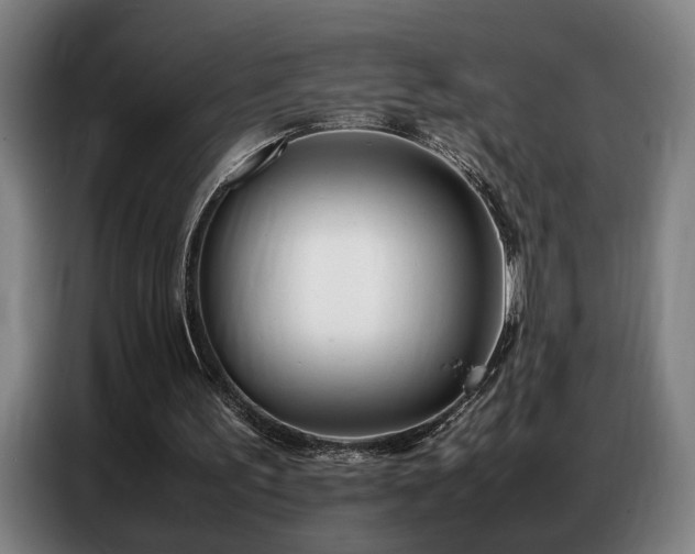 X0000087320195200704201116