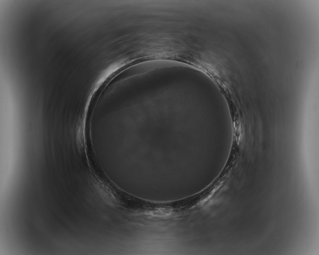 X0000087320196200704201116