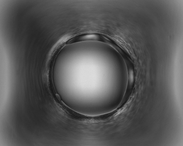 X0000087320197200704201116