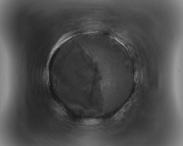 X0000087320198200704201116