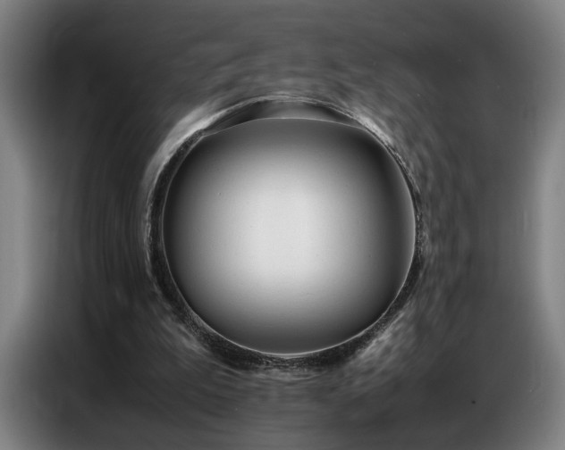 X0000087320199200704201116