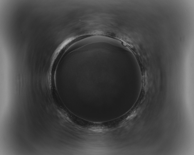 X0000087320200200704201116