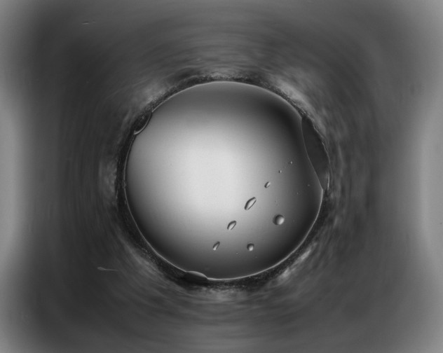 X0000087320201200704201116