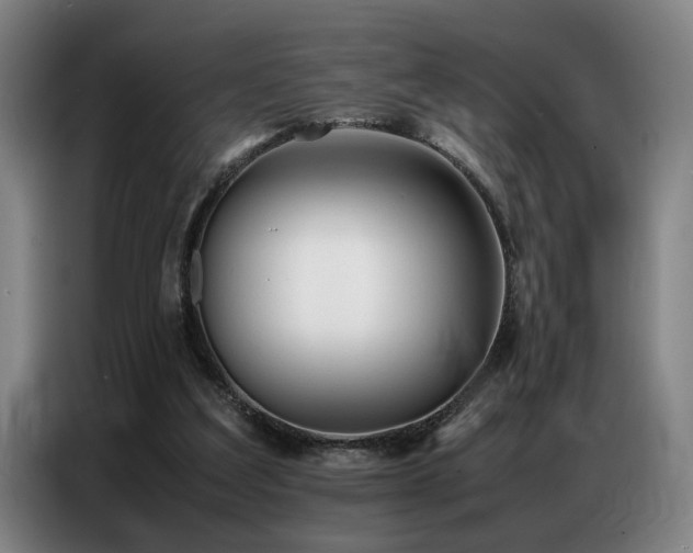 X0000087320203200704201116