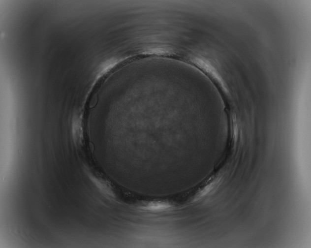 X0000087320204200704201116