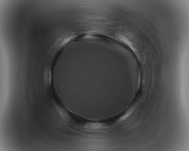 X0000087320205200704201116