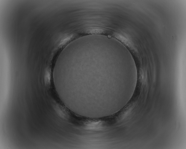 X0000087320206200704201116