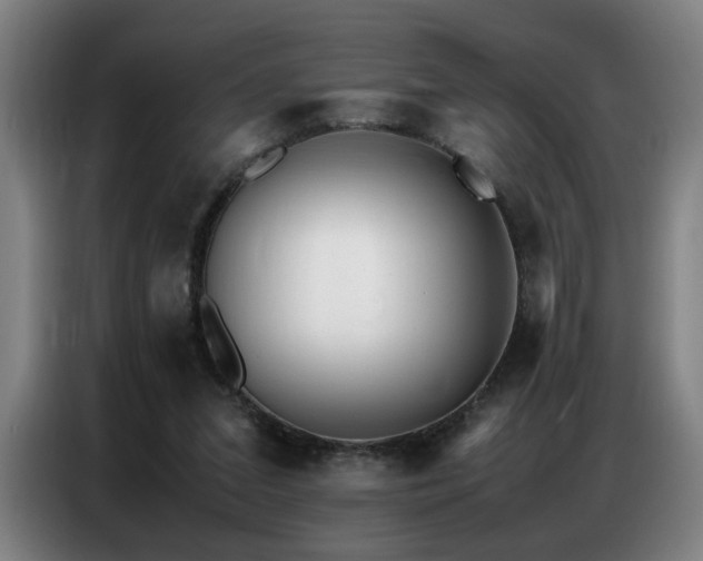 X0000087320207200704201116