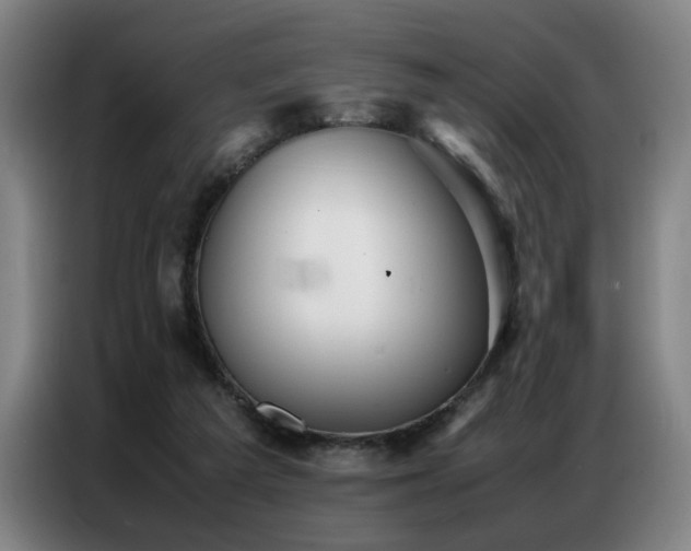 X0000087320209200704201116