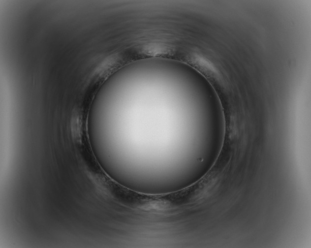 X0000087320210200704201116