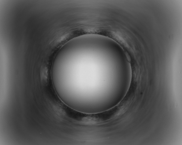 X0000087320211200704201116
