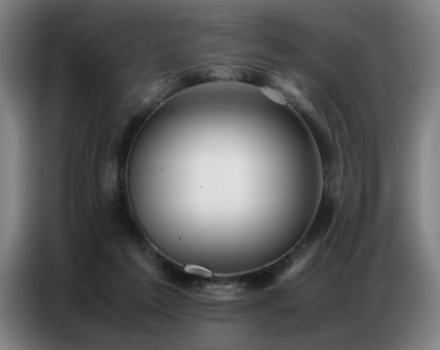 X0000087320213200704201116