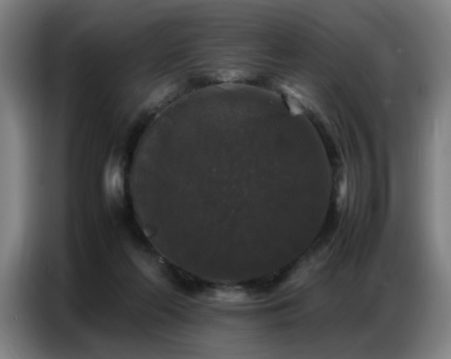 X0000087320214200704201116