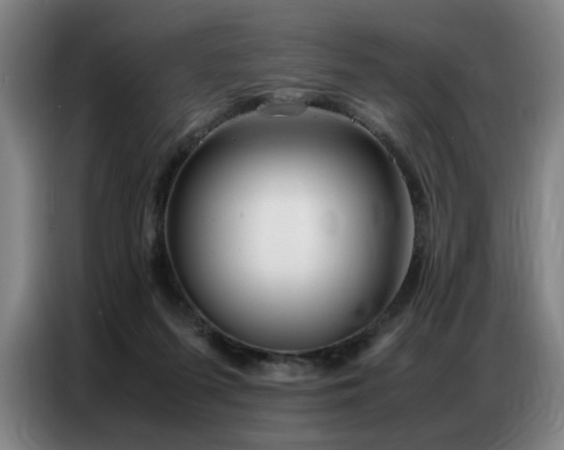 X0000087320215200704201116