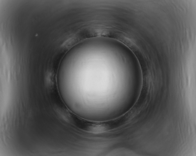 X0000087320218200704201116