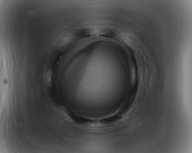 X0000087320219200704201116