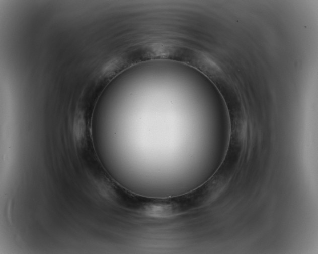 X0000087320220200704201116