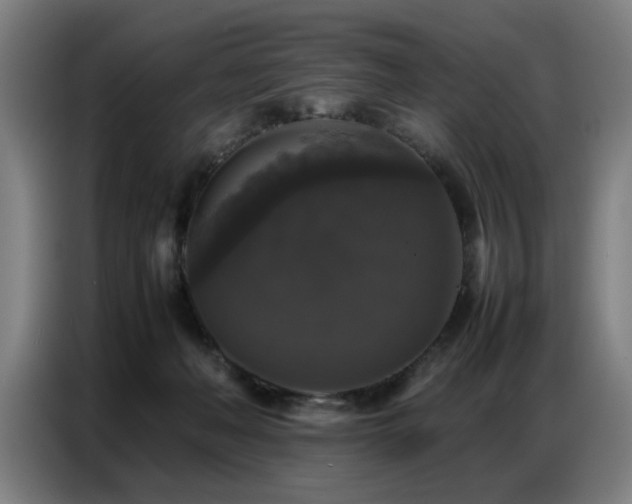 X0000087320222200704201116