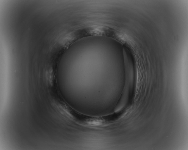 X0000087320223200704201116