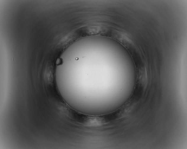 X0000087320226200704201116