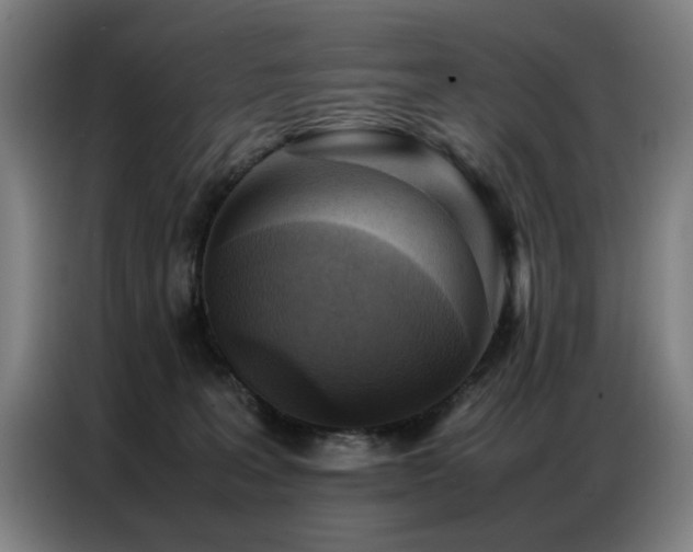 X0000087320227200704201116