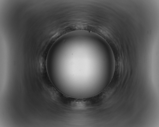 X0000087320228200704201116