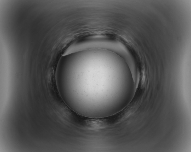 X0000087320229200704201116
