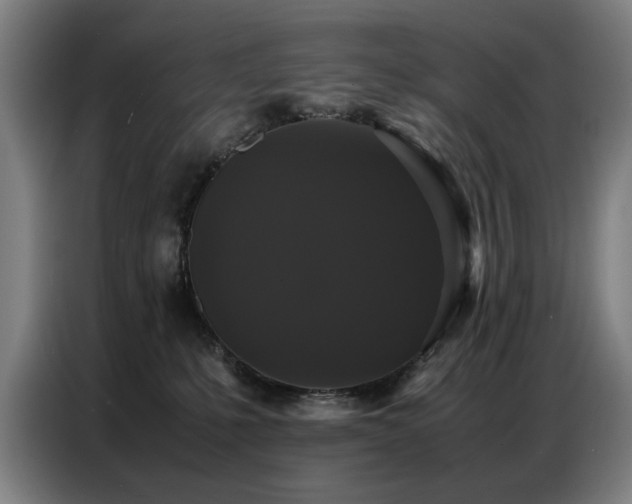 X0000087320231200704201116