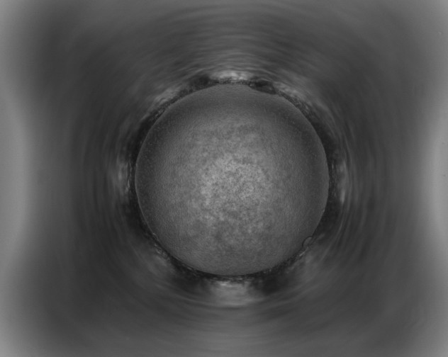X0000087320232200704201116