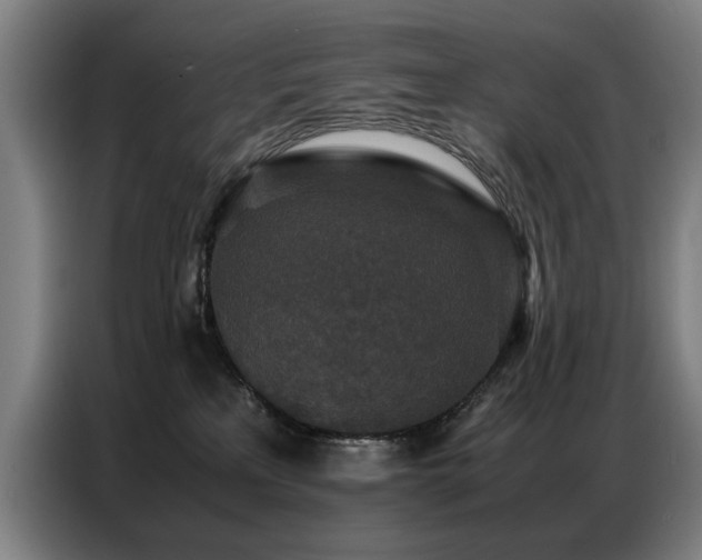 X0000087320233200704201116