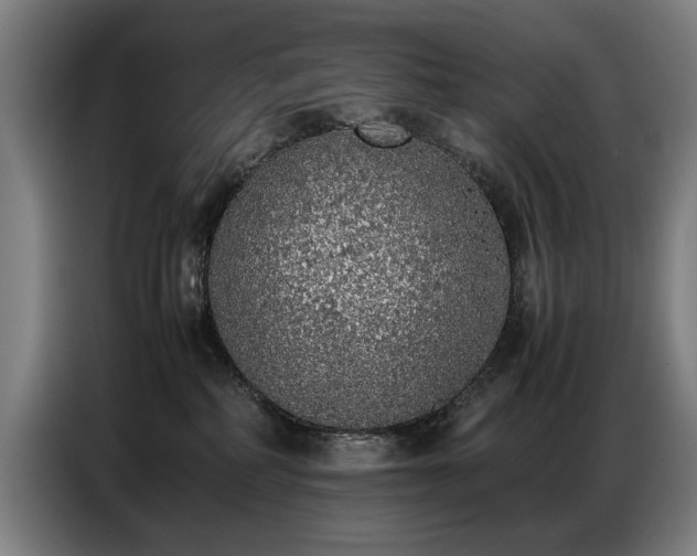 X0000087320234200704201116