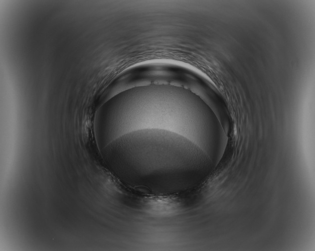 X0000087320235200704201116