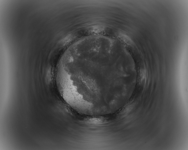 X0000087320236200704201116
