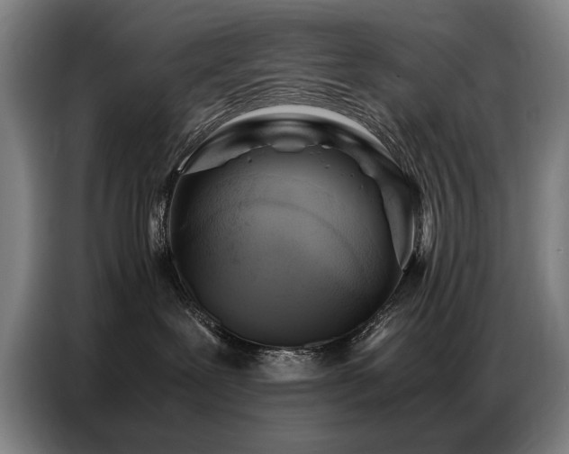 X0000087320239200704201116