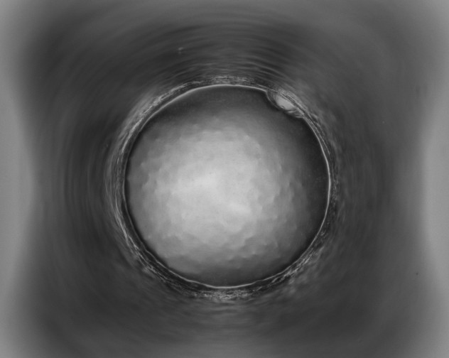 X0000087320241200704201115