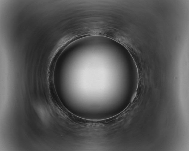 X0000087320242200704201115
