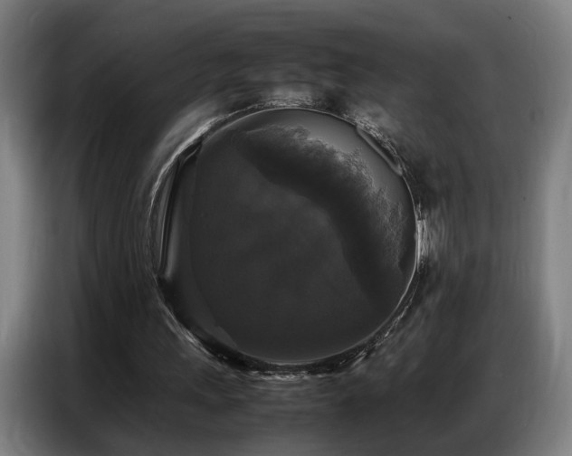 X0000087320243200704201115