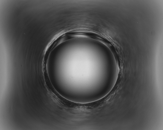 X0000087320244200704201115