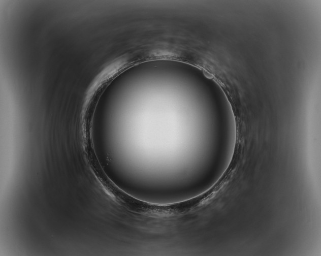 X0000087320245200704201115