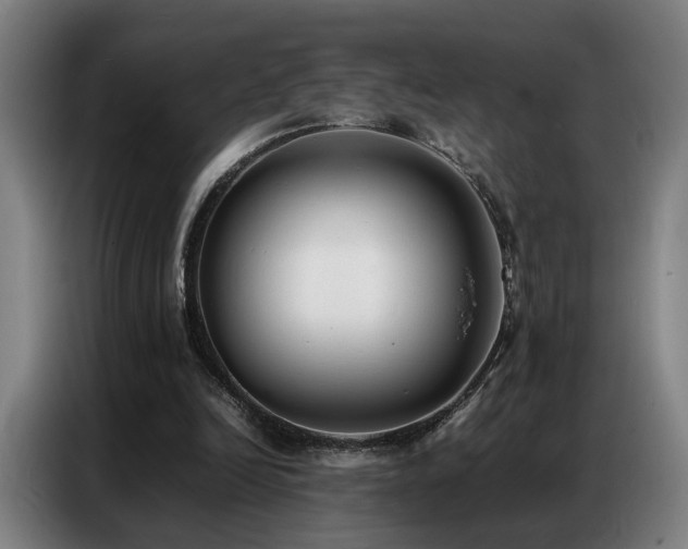 X0000087320246200704201115