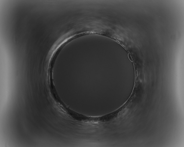 X0000087320247200704201115