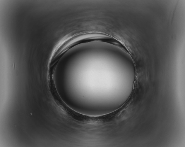 X0000087320248200704201115