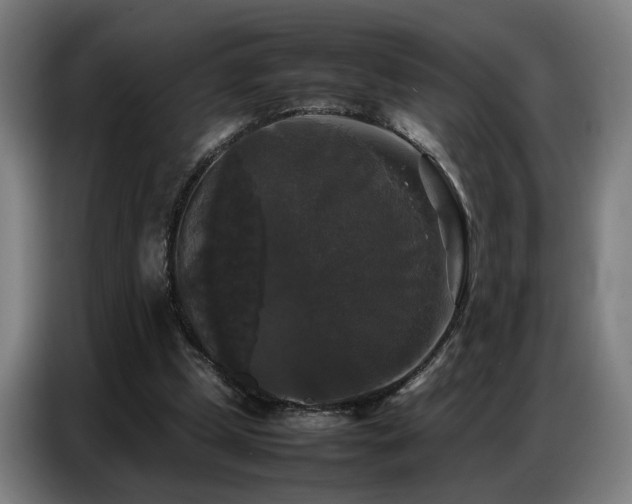X0000087320249200704201115