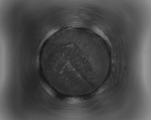 X0000087320250200704201115