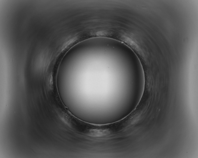 X0000087320251200704201115