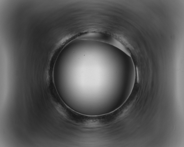 X0000087320252200704201115